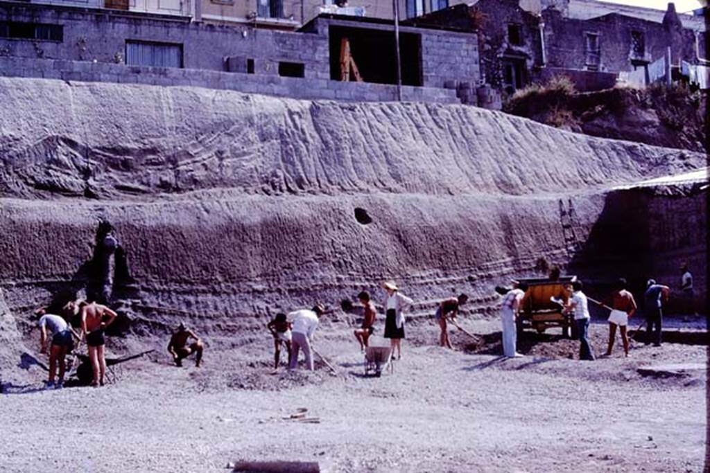 Oplontis, 1977. Looking north in north-east corner of north garden. Photo by Stanley A. Jashemski.
Source: The Wilhelmina and Stanley A. Jashemski archive in the University of Maryland Library, Special Collections (See collection page) and made available under the Creative Commons Attribution-Non Commercial License v.4. See Licence and use details. J77f0165