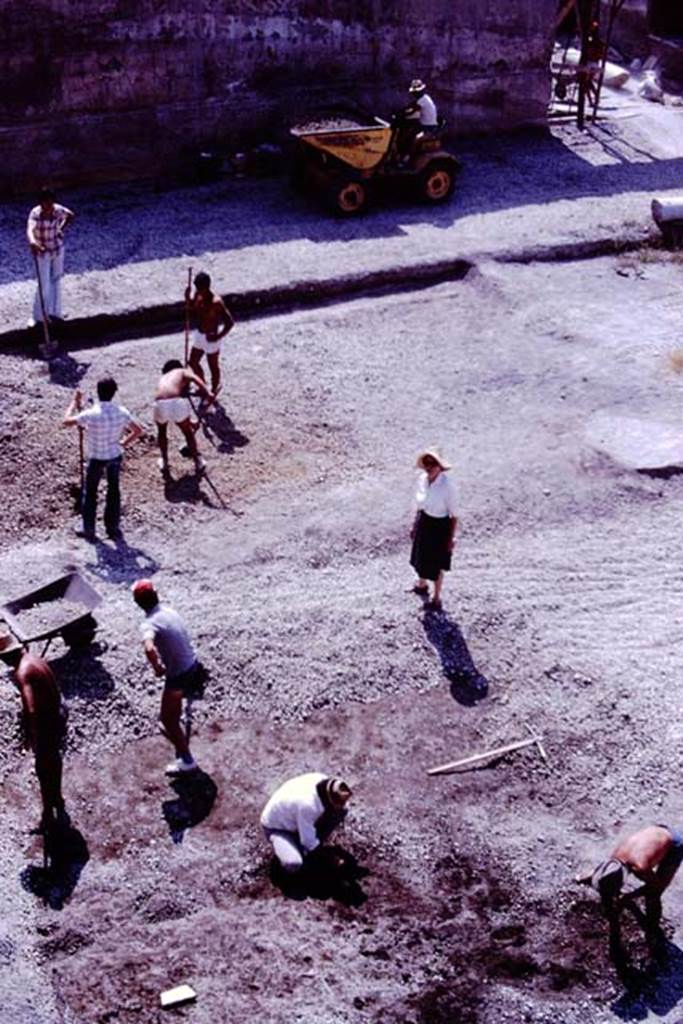 Oplontis, 1977. Looking east across north garden, towards doorway to room 69, in top right. At the bottom of the photo, a group of root-cavities have been discovered.
Photo by Stanley A. Jashemski.
Source: The Wilhelmina and Stanley A. Jashemski archive in the University of Maryland Library, Special Collections (See collection page) and made available under the Creative Commons Attribution-Non Commercial License v.4. See Licence and use details. J77f0171