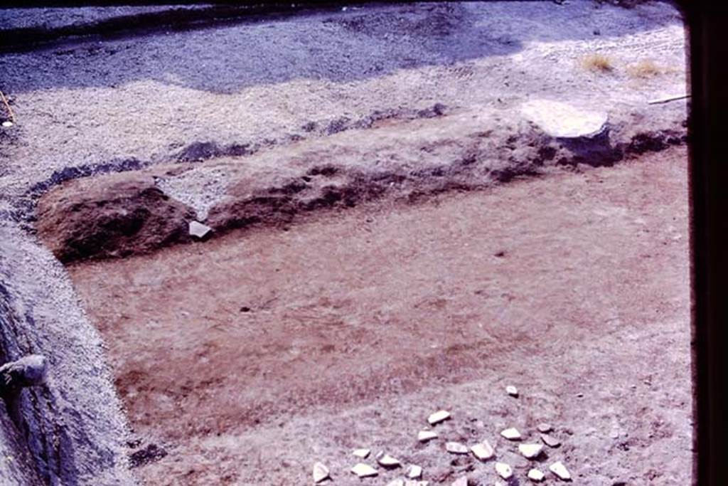 Oplontis, 1977. Area 56, looking east in north-east corner. The area has now been cleaned back to the original level, and a group of root-cavities found, lower part of photo. In the top-right of the photo is the white painted filled root-cavity of the fourth of the line of large trees. In the top-left of the photo, another root-cavity of a large tree has been discovered, still filled with its lapilli. Photo by Stanley A. Jashemski.
Source: The Wilhelmina and Stanley A. Jashemski archive in the University of Maryland Library, Special Collections (See collection page) and made available under the Creative Commons Attribution-Non Commercial License v.4. See Licence and use details. J77f0187