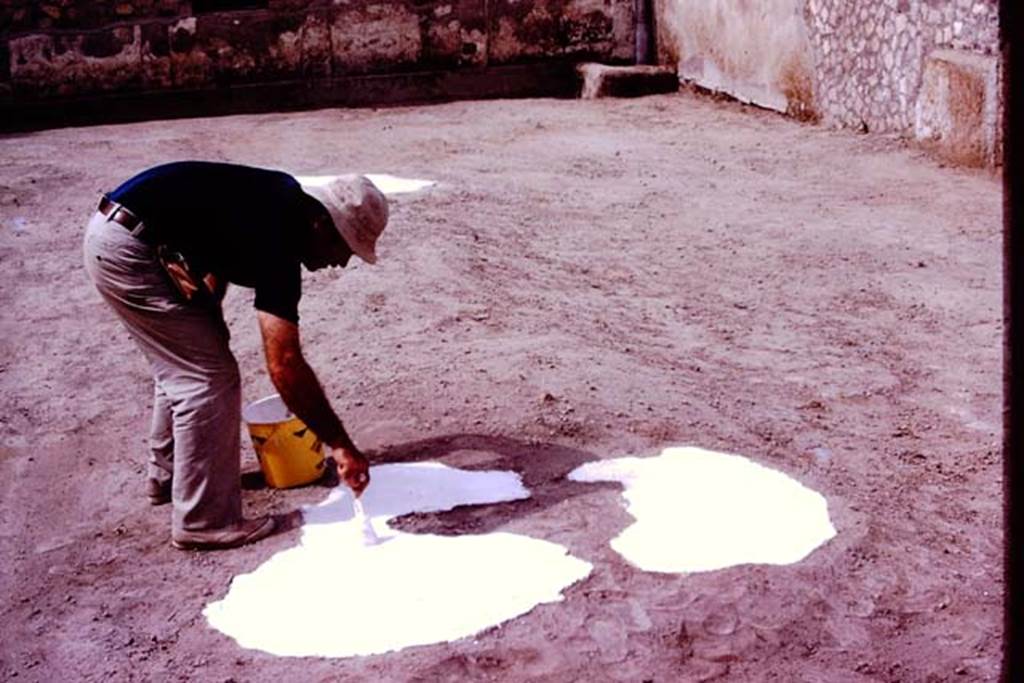 Oplontis, 1977. Filled large tree-root cavity being painted. Photo by Stanley A. Jashemski.
Source: The Wilhelmina and Stanley A. Jashemski archive in the University of Maryland Library, Special Collections (See collection page) and made available under the Creative Commons Attribution-Non Commercial License v.4. See Licence and use details. J77f0245
