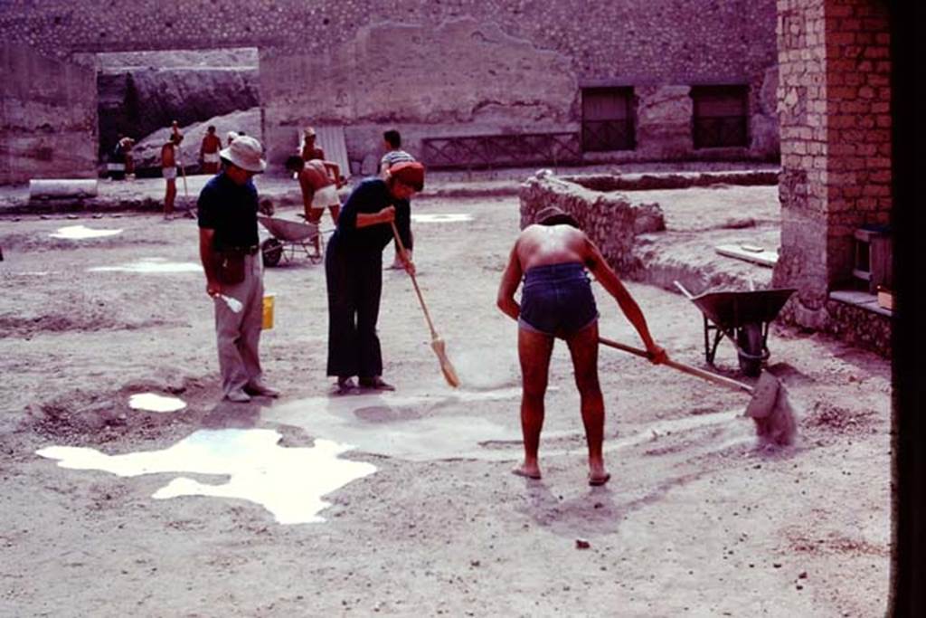 Oplontis, 1977. Area 56, the north garden, looking east. Hard at work, cleaning and painting. Photo by Stanley A. Jashemski.
Source: The Wilhelmina and Stanley A. Jashemski archive in the University of Maryland Library, Special Collections (See collection page) and made available under the Creative Commons Attribution-Non Commercial License v.4. See Licence and use details. J77f0250