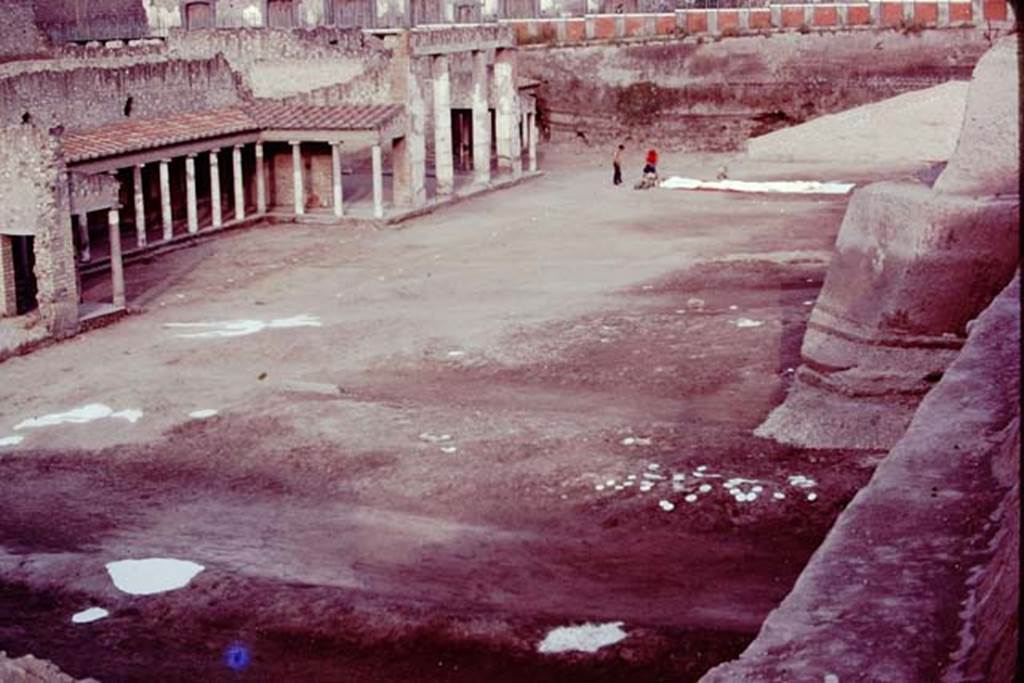 Oplontis, 1977. Area 56, the north garden. Looking west across the cleaned area, with root cavities painted white. Photo by Stanley A. Jashemski.
Source: The Wilhelmina and Stanley A. Jashemski archive in the University of Maryland Library, Special Collections (See collection page) and made available under the Creative Commons Attribution-Non Commercial License v.4. See Licence and use details. J77f0254
