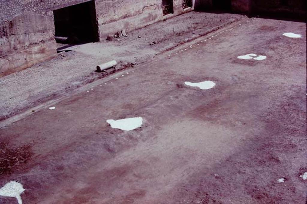 Oplontis, 1977. Area 56, east end of north garden, showing line of five huge tree-root cavities and smaller cavities bordering the portico. Photo by Stanley A. Jashemski.
Source: The Wilhelmina and Stanley A. Jashemski archive in the University of Maryland Library, Special Collections (See collection page) and made available under the Creative Commons Attribution-Non Commercial License v.4. See Licence and use details. J77f0304