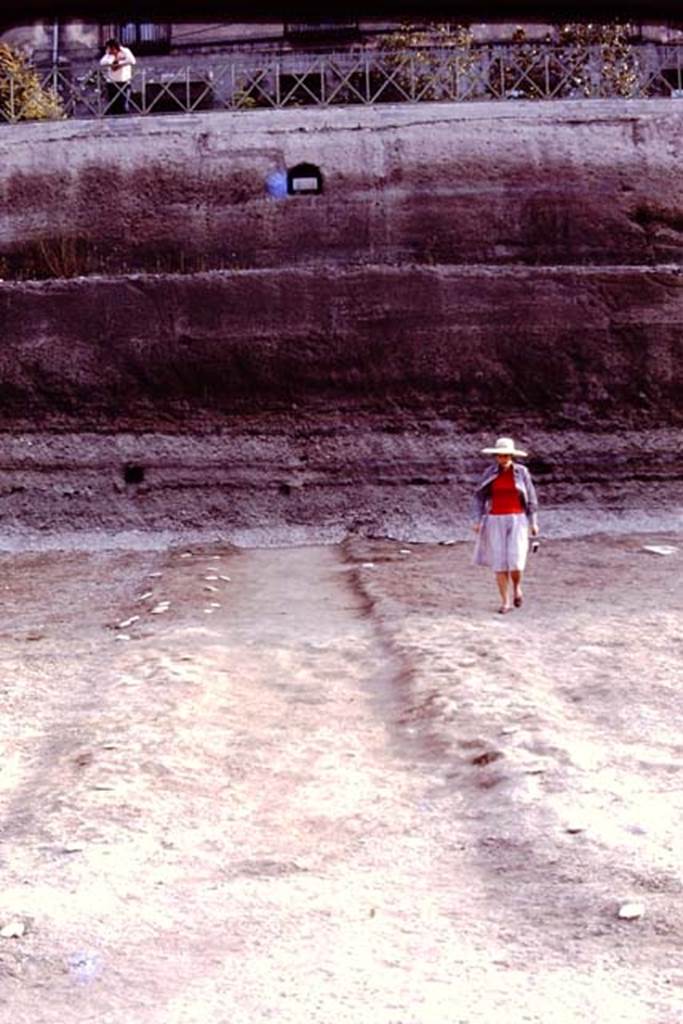 Oplontis, 1977. Looking north from room 21, along the central pathway across north garden towards the unexcavated. Photo by Stanley A. Jashemski.
Source: The Wilhelmina and Stanley A. Jashemski archive in the University of Maryland Library, Special Collections (See collection page) and made available under the Creative Commons Attribution-Non Commercial License v.4. See Licence and use details. J77f0312