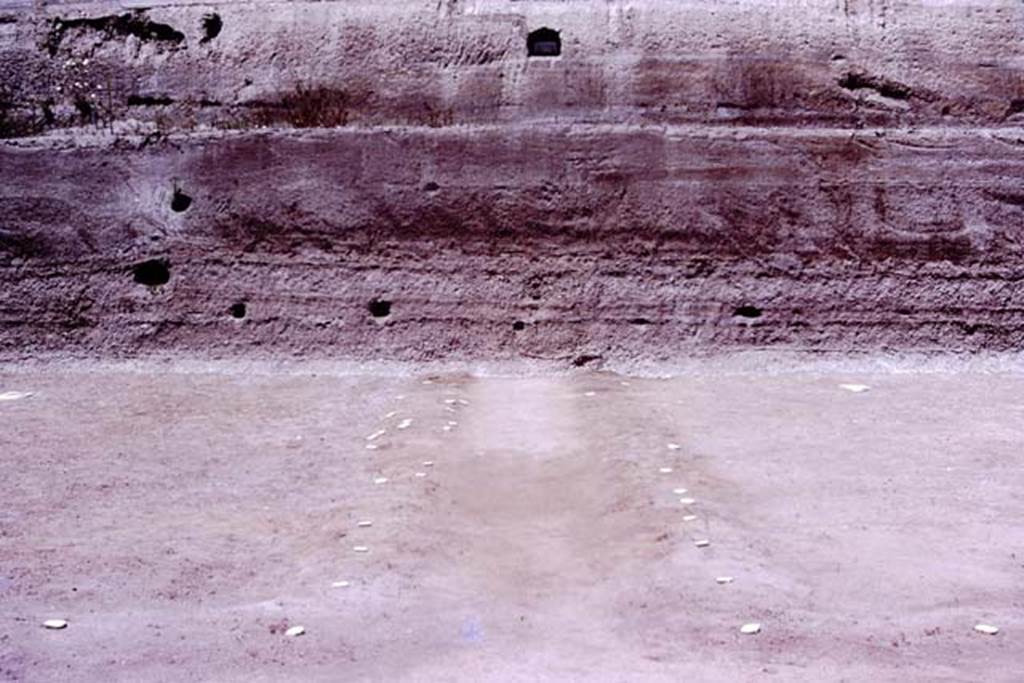 Oplontis, 1977. Looking north along central path, towards unexcavated north garden. (The large branch of the tree, that Wilhelmina mentions below, was found in the cavity on the left, which seems to be surrounded by white lapilli).
Photo by Stanley A. Jashemski.
Source: The Wilhelmina and Stanley A. Jashemski archive in the University of Maryland Library, Special Collections (See collection page) and made available under the Creative Commons Attribution-Non Commercial License v.4. See Licence and use details. J77f0357
According to Wilhelmina, “Large quantities of what appeared to be partially carbonized tree-roots were found in several cavities, and what appeared to be parts of the trunk were found in the lapilli above ground. Most spectacular was the large branch (180cm long) of a tree found in the volcanic ash, at a height of about 250cms (8 ft) at the northern end of the excavations. The cavities left by the spreading branches of this huge tree, which grew in the yet unexcavated part of the garden, can be seen in the cut in the volcanic fill.”
See Jashemski, W. F., 1979. The Gardens of Pompeii. New York: Caratzas, (p.300)