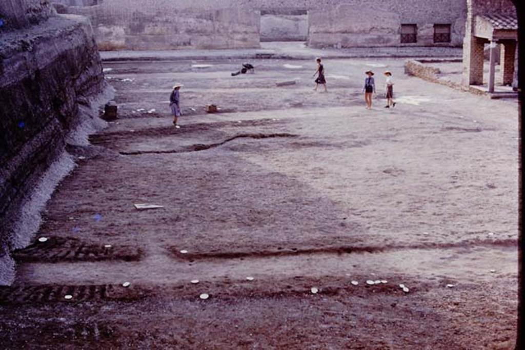 Oplontis, 1977. Looking east across north garden. The central path, with its white painted root cavities, is shown in the lower part of the photo. Photo by Stanley A. Jashemski.
Source: The Wilhelmina and Stanley A. Jashemski archive in the University of Maryland Library, Special Collections (See collection page) and made available under the Creative Commons Attribution-Non Commercial License v.4. See Licence and use details. J77f0313