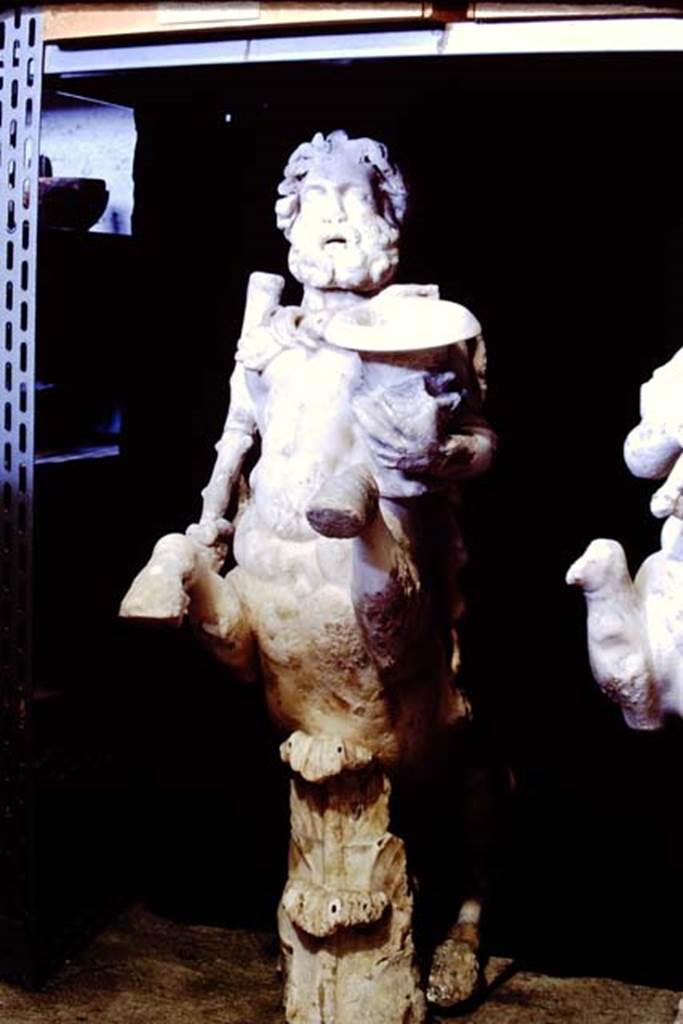 Oplontis Villa of Poppea, 1977. One of a group of four centaurs, a male holding a club and a crater.
Two centaur fountains had been on each side of the passageway.
There was no evidence of pipes, so they had not been used as fountains in their final location.
Photo by Stanley A. Jashemski.
SAP inventory number 70070.
Source: The Wilhelmina and Stanley A. Jashemski archive in the University of Maryland Library, Special Collections (See collection page) and made available under the Creative Commons Attribution-Non Commercial License v.4. See Licence and use details.
J77f0342