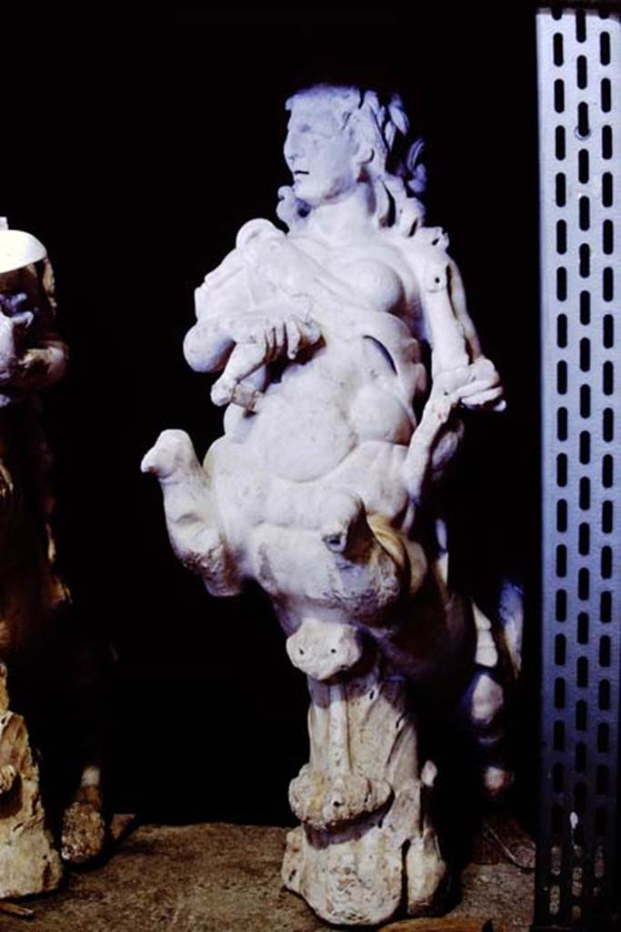 Oplontis Villa of Poppea, 1977. One of a group of four centaurs, a female holding a club and a lyre.
Two centaur fountains had been on each side of the passageway.
There was no evidence of pipes, so they had not been used as fountains in their final location.
Photo by Stanley A. Jashemski.
SAP inventory number 70055.
Source: The Wilhelmina and Stanley A. Jashemski archive in the University of Maryland Library, Special Collections (See collection page) and made available under the Creative Commons Attribution-Non Commercial License v.4. See Licence and use details.
J77f0341