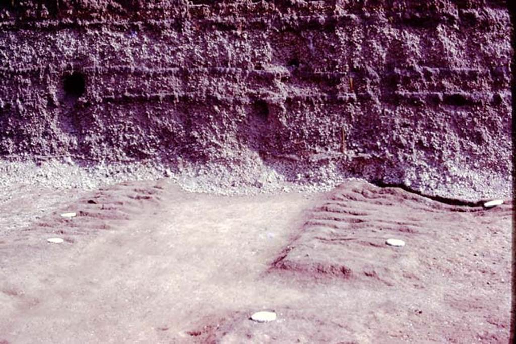 Oplontis, 1977. Looking north into the unexcavated, at the end of the central path from room 21. Photo by Stanley A. Jashemski.
Source: The Wilhelmina and Stanley A. Jashemski archive in the University of Maryland Library, Special Collections (See collection page) and made available under the Creative Commons Attribution-Non Commercial License v.4. See Licence and use details. J77f0407