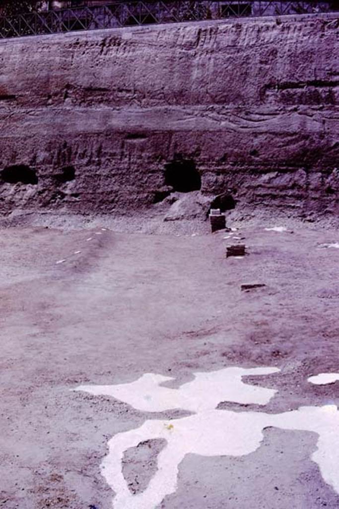 Oplontis, 1977. Looking north-west in the north garden.
Looking from the huge root cavity found in 1974, which took 230 large buckets of cement to fill in 1975, along the diagonal line of a pathway, with bases.
Wilhelmina thought the diagonal pathway probably joined with the central pathway leading out from room 21, although this could not be proved as the meeting point would be under the still unexcavated area.
Photo by Stanley A. Jashemski.
Source: The Wilhelmina and Stanley A. Jashemski archive in the University of Maryland Library, Special Collections (See collection page) and made available under the Creative Commons Attribution-Non Commercial License v.4. See Licence and use details.
J77f0358
According to Wilhelmina, “At the edge of the diagonal passageway on the east, four masonry statue bases were found. On them the marble shafts that supported the sculptured white marble heads had been mounted. In 1975, we had found the portrait head of a woman of the Julio-Claudian period. In addition, the Italian excavators had found the head of the goddess Aphrodite, the child Dionysus and the fine head of a Julio-Claudian boy, which some claimed was most certainly the child Nero.
These herms, which would have been set in the middle of clumps of plants, mainly oleanders, reminded us of the garden paintings that showed sculpture set amid masses of flowering oleanders. Only the shaft of one other herm was found, and a few details of the hair still on the shaft were sufficient for Stefano De Caro to identify the missing head as that of a bearded archaic-type Dionysus.
See Jashemski, W.F., 2014. Discovering the Gardens of Pompeii: Memoirs of a Garden Archaeologist, (p.255)