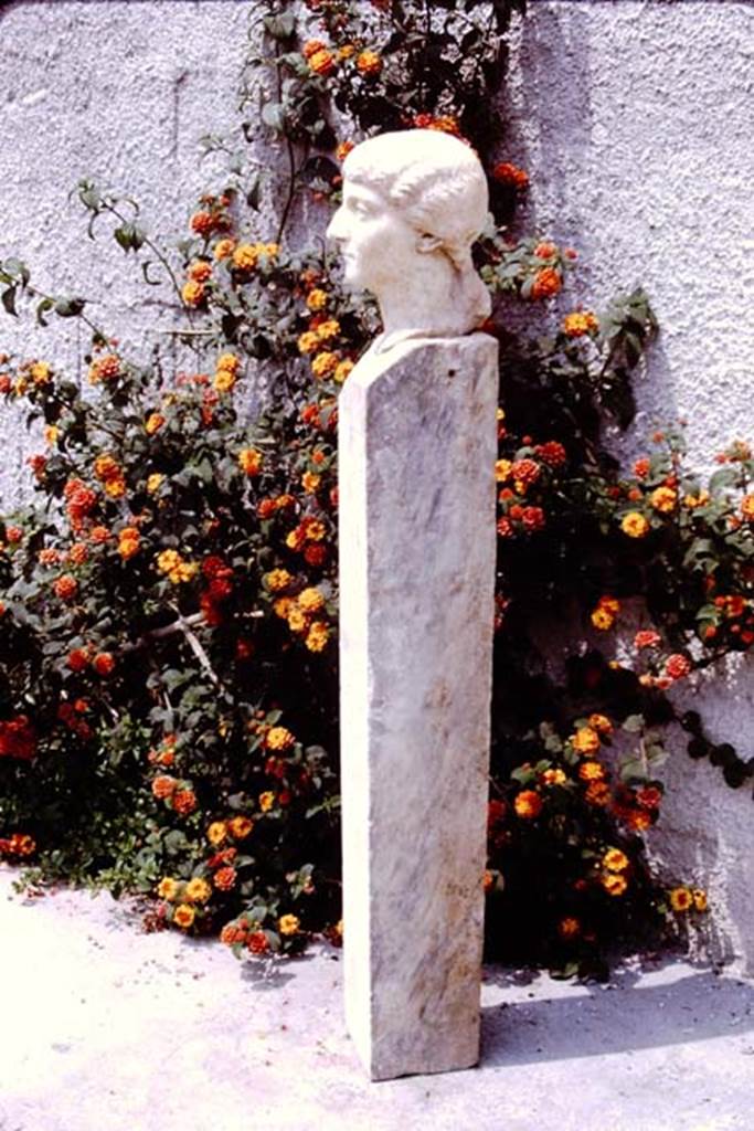 Oplontis Villa of Poppea, 1975. Beautiful marble head and shaft found in the north garden. Photo by Stanley A. Jashemski.
Source: The Wilhelmina and Stanley A. Jashemski archive in the University of Maryland Library, Special Collections (See collection page) and made available under the Creative Commons Attribution-Non Commercial License v.4. See Licence and use details.
J75f0134