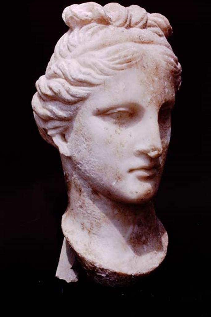 Oplontis, 1975. Marble head of a woman found along passageway. Photo by Stanley A. Jashemski.
Source: The Wilhelmina and Stanley A. Jashemski archive in the University of Maryland Library, Special Collections (See collection page) and made available under the Creative Commons Attribution-Non Commercial License v.4. See Licence and use details. J75f0136