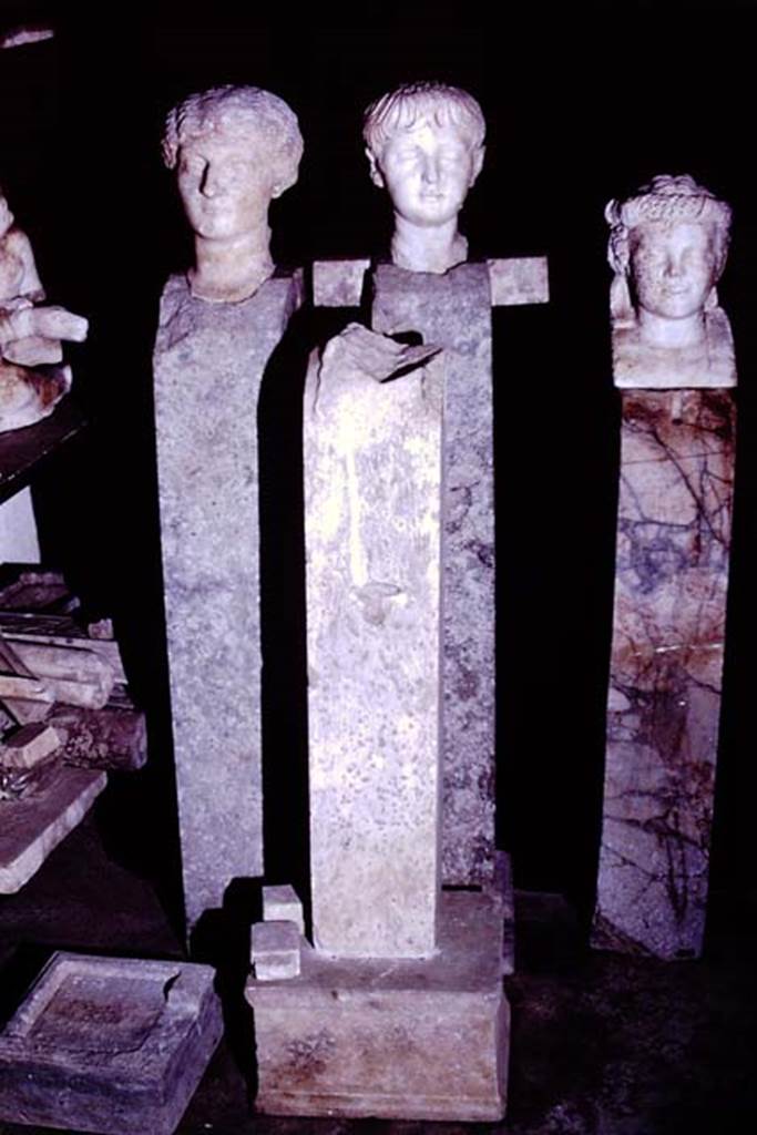 Oplontis, 1977. Marble heads, herms and statue bases. Photo by Stanley A. Jashemski.
Source: The Wilhelmina and Stanley A. Jashemski archive in the University of Maryland Library, Special Collections (See collection page) and made available under the Creative Commons Attribution-Non Commercial License v.4. See Licence and use details. J77f0337