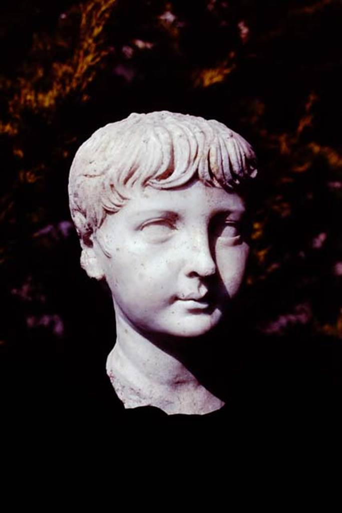 Oplontis, 1978. Marble head of boy, found along the passageway. Photo by Stanley A. Jashemski.
Source: The Wilhelmina and Stanley A. Jashemski archive in the University of Maryland Library, Special Collections (See collection page) and made available under the Creative Commons Attribution-Non Commercial License v.4. See Licence and use details. J78f0471