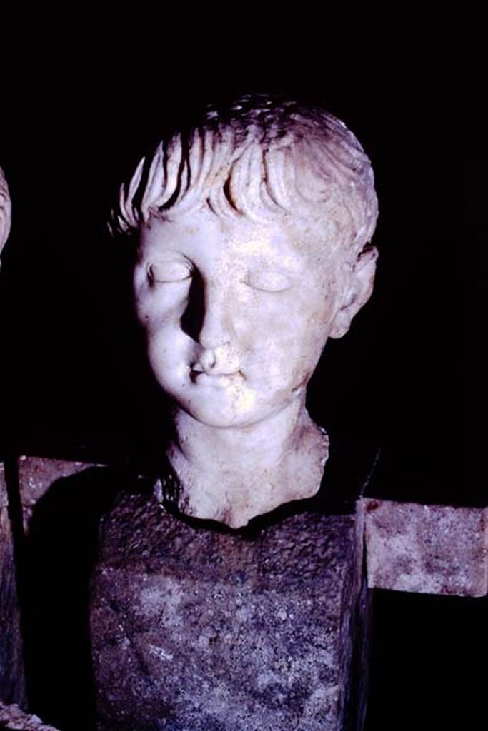 Oplontis, 1977. Marble head of boy on herm. Photo by Stanley A. Jashemski.
Source: The Wilhelmina and Stanley A. Jashemski archive in the University of Maryland Library, Special Collections (See collection page) and made available under the Creative Commons Attribution-Non Commercial License v.4. See Licence and use details. J77f0336