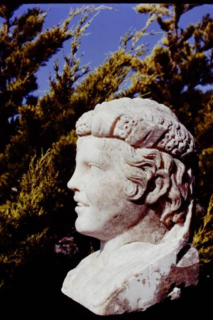 Oplontis, 1978. Marble head of a young boy, found along the passageway. Photo by Stanley A. Jashemski.
Source: The Wilhelmina and Stanley A. Jashemski archive in the University of Maryland Library, Special Collections (See collection page) and made available under the Creative Commons Attribution-Non Commercial License v.4. See Licence and use details. J78f0463