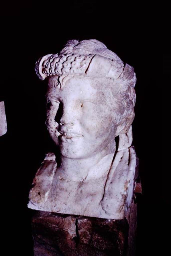 Oplontis, 1977. Marble head of boy, on herm. Photo by Stanley A. Jashemski.
Source: The Wilhelmina and Stanley A. Jashemski archive in the University of Maryland Library, Special Collections (See collection page) and made available under the Creative Commons Attribution-Non Commercial License v.4. See Licence and use details. J77f0338