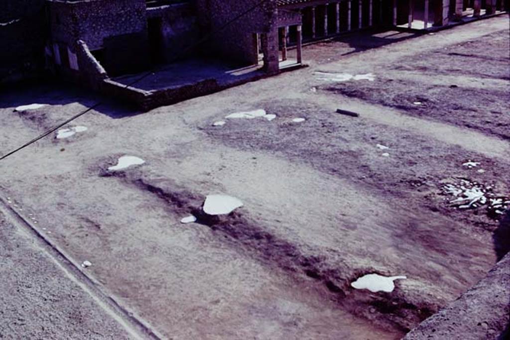 Oplontis, 1977. North garden, looking south-west across garden area. The large clump of cavities, probably small trees or shrubs, possibly oleanders, can be seen on the right. Across the centre is the filled white painted line of five root cavities belonging to five large trees. On the left, along the edge of the portico, is a row of smaller root cavities, later identified as daisy chrysanthemums. Photo by Stanley A. Jashemski.
Source: The Wilhelmina and Stanley A. Jashemski archive in the University of Maryland Library, Special Collections (See collection page) and made available under the Creative Commons Attribution-Non Commercial License v.4. See Licence and use details. J77f0444