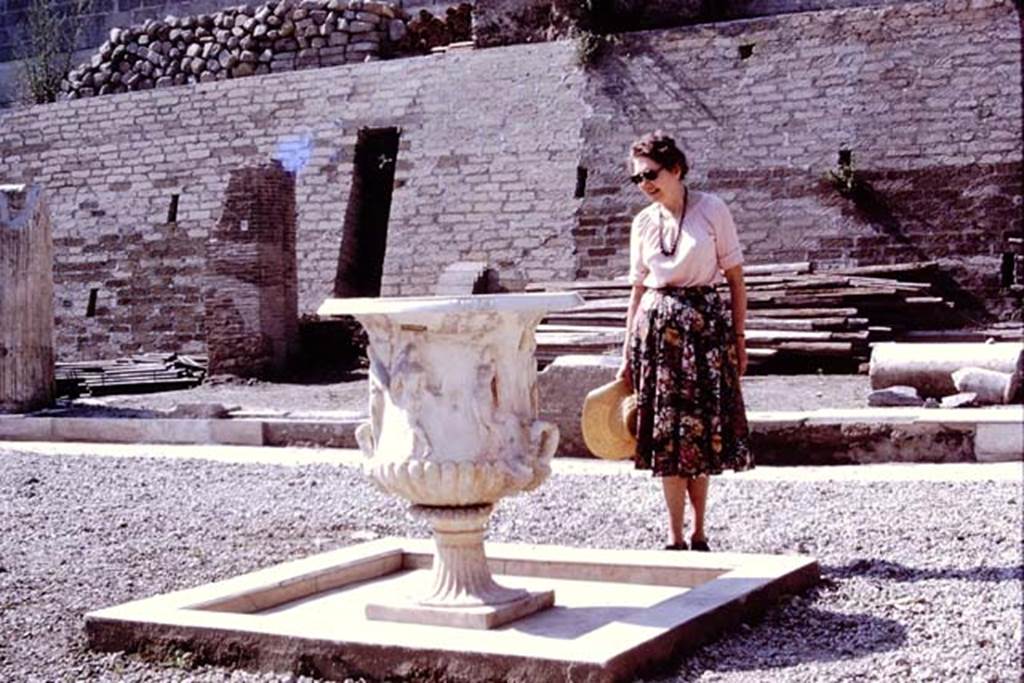 Oplontis, 1978. Wilhelmina studying the large crater vase. Photo by Stanley A. Jashemski.
Source: The Wilhelmina and Stanley A. Jashemski archive in the University of Maryland Library, Special Collections (See collection page) and made available under the Creative Commons Attribution-Non Commercial License v.4. See Licence and use details. J78f0052
