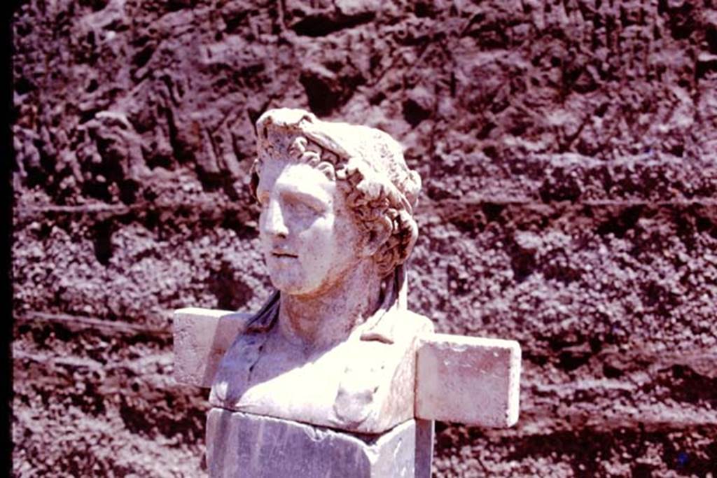 Oplontis Villa of Poppea, c.1978. Herm of Hercules. Photo by Stanley A. Jashemski.
Source: The Wilhelmina and Stanley A. Jashemski archive in the University of Maryland Library, Special Collections (See collection page) and made available under the Creative Commons Attribution-Non Commercial License v.4. See Licence and use details.
Oplo0111
SAP inventory number 72742.