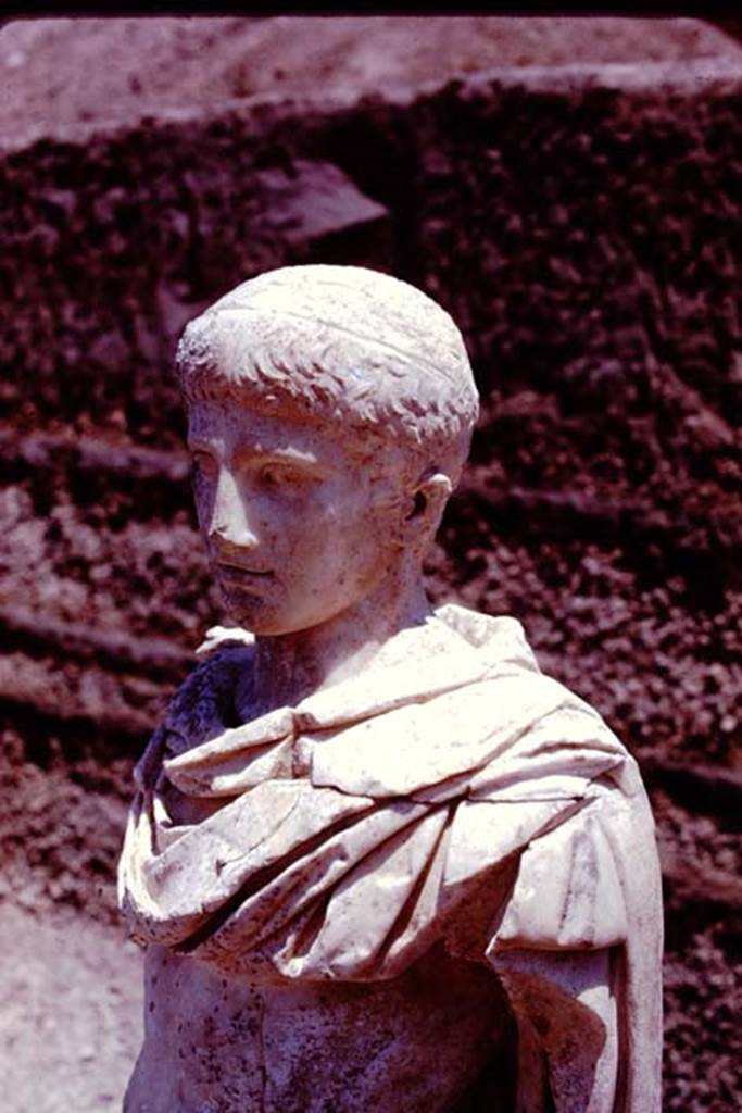 Oplontis, 1978. Detail of the ephebos. Photo by Stanley A. Jashemski.
Source: The Wilhelmina and Stanley A. Jashemski archive in the University of Maryland Library, Special Collections (See collection page) and made available under the Creative Commons Attribution-Non Commercial License v.4. See Licence and use details.
J78f0070