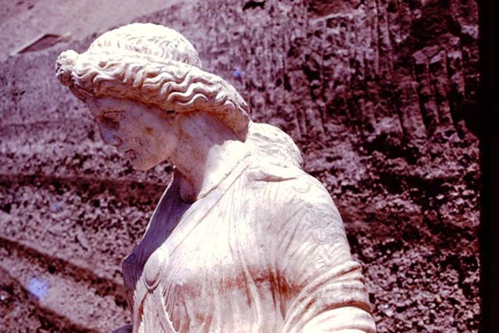 Oplontis, 1978. Detail of head of Nike, from south side. Photo by Stanley A. Jashemski.
Source: The Wilhelmina and Stanley A. Jashemski archive in the University of Maryland Library, Special Collections (See collection page) and made available under the Creative Commons Attribution-Non Commercial License v.4. See Licence and use details. J78f0074
