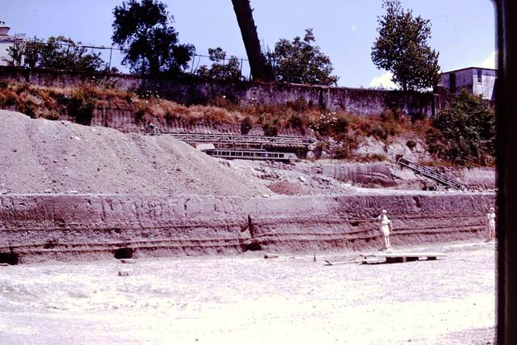 Oplontis, 1978. Looking east into unexcavated. Photo by Stanley A. Jashemski.
Source: The Wilhelmina and Stanley A. Jashemski archive in the University of Maryland Library, Special Collections (See collection page) and made available under the Creative Commons Attribution-Non Commercial License v.4. See Licence and use details. J78f0082