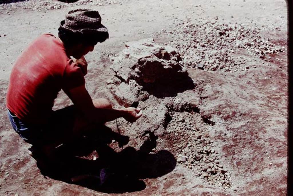 Oplontis, 1978. Finding of statue bases, and cavities at the rear, filled with lapilli. Photo by Stanley A. Jashemski.
Source: The Wilhelmina and Stanley A. Jashemski archive in the University of Maryland Library, Special Collections (See collection page) and made available under the Creative Commons Attribution-Non Commercial License v.4. See Licence and use details. J78f0254