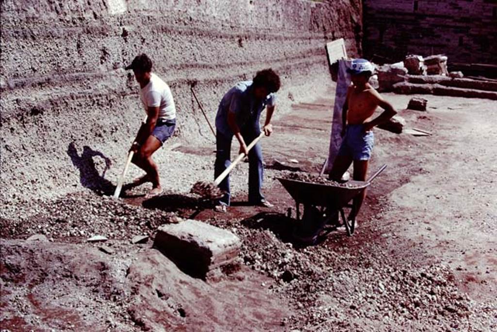 Oplontis, 1978. Removing the lapilli down to the original soil level, and finding a line of statue bases. Photo by Stanley A. Jashemski.
Source: The Wilhelmina and Stanley A. Jashemski archive in the University of Maryland Library, Special Collections (See collection page) and made available under the Creative Commons Attribution-Non Commercial License v.4. See Licence and use details. J78f0255