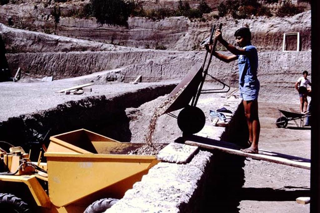 Oplontis, 1978. Looking north along east side of pool, showing the enormous task of excavating in a “quarry”. Photo by Stanley A. Jashemski.
Source: The Wilhelmina and Stanley A. Jashemski archive in the University of Maryland Library, Special Collections (See collection page) and made available under the Creative Commons Attribution-Non Commercial License v.4. See Licence and use details. J78f0315