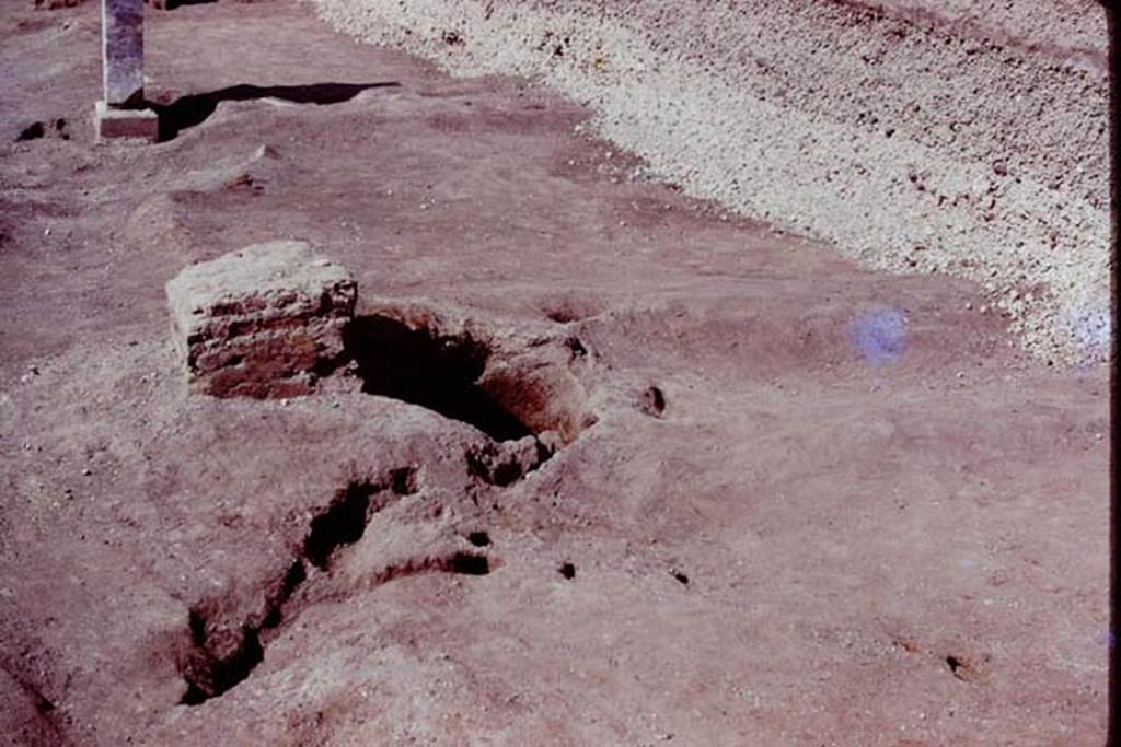 Oplontis, 1978. Looking north along east side of poo, and towards statue base II, and root-cavity. Photo by Stanley A. Jashemski.
Source: The Wilhelmina and Stanley A. Jashemski archive in the University of Maryland Library, Special Collections (See collection page) and made available under the Creative Commons Attribution-Non Commercial License v.4. See Licence and use details. J78f0346