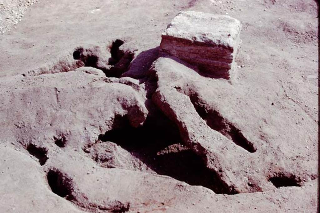 Oplontis, 1978. Root cavity behind statue base IV. Photo by Stanley A. Jashemski.
Source: The Wilhelmina and Stanley A. Jashemski archive in the University of Maryland Library, Special Collections (See collection page) and made available under the Creative Commons Attribution-Non Commercial License v.4. See Licence and use details. J78f0349