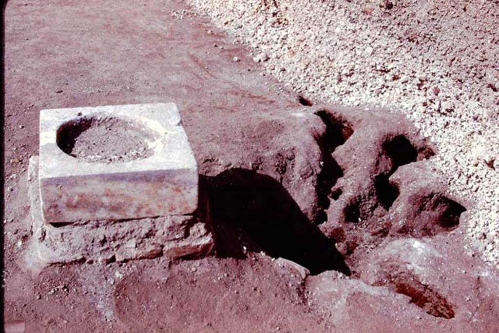 Oplontis, 1978. Statue base V, and the root cavity at its rear. Photo by Stanley A. Jashemski.
Source: The Wilhelmina and Stanley A. Jashemski archive in the University of Maryland Library, Special Collections (See collection page) and made available under the Creative Commons Attribution-Non Commercial License v.4. See Licence and use details. J78f0354
