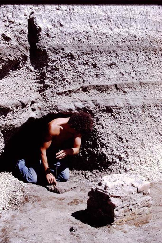 Oplontis, 1978. Another root cavity, behind a statue base, but still under the unexcavated lapilli. Photo by Stanley A. Jashemski.
Source: The Wilhelmina and Stanley A. Jashemski archive in the University of Maryland Library, Special Collections (See collection page) and made available under the Creative Commons Attribution-Non Commercial License v.4. See Licence and use details. J78f0312