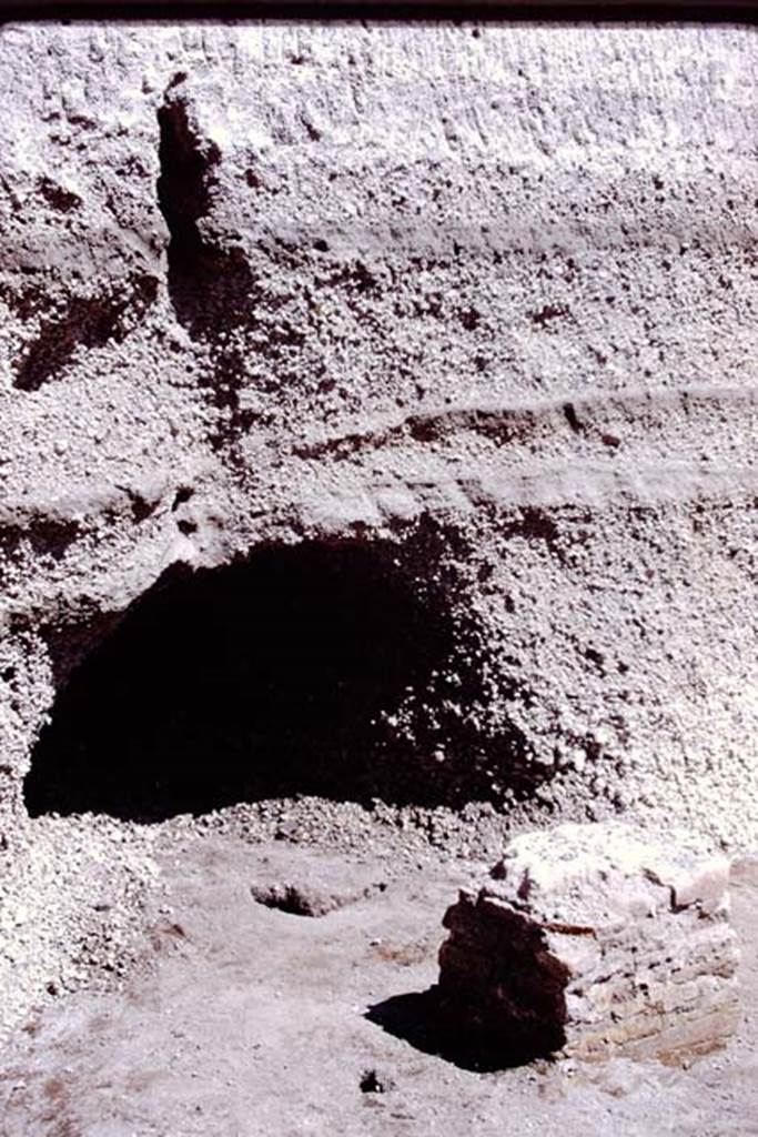 Oplontis, 1978. Root cavity behind a base, under the unexcavated lapilli. Photo by Stanley A. Jashemski.
Source: The Wilhelmina and Stanley A. Jashemski archive in the University of Maryland Library, Special Collections (See collection page) and made available under the Creative Commons Attribution-Non Commercial License v.4. See Licence and use details. J78f0314