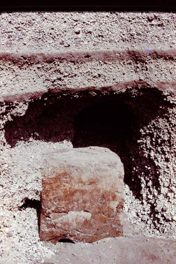 Oplontis, 1978. Area 92, east side of pool. Statue base VII, still enclosed in its lapilli.
Photo by Stanley A. Jashemski.
Source: The Wilhelmina and Stanley A. Jashemski archive in the University of Maryland Library, Special Collections (See collection page) and made available under the Creative Commons Attribution-Non Commercial License v.4. See Licence and use details. J78f0356