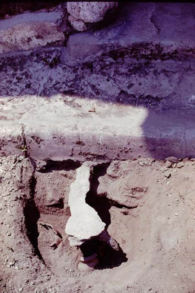 Oplontis, 1978. Filled root-cavity with buried pot below, in front of a column. Photo by Stanley A. Jashemski.
Source: The Wilhelmina and Stanley A. Jashemski archive in the University of Maryland Library, Special Collections (See collection page) and made available under the Creative Commons Attribution-Non Commercial License v.4. See Licence and use details. J78f0657