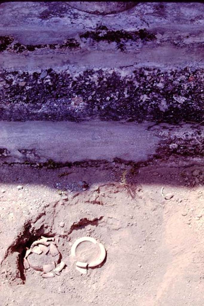 Oplontis, 1978. Two buried pots in front of a column. Photo by Stanley A. Jashemski.
Source: The Wilhelmina and Stanley A. Jashemski archive in the University of Maryland Library, Special Collections (See collection page) and made available under the Creative Commons Attribution-Non Commercial License v.4. See Licence and use details. J78f0662