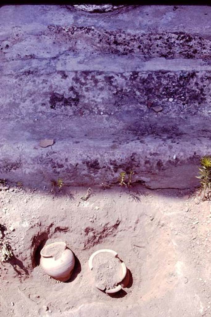 Oplontis, 1978. Two buried pots. Photo by Stanley A. Jashemski.
Source: The Wilhelmina and Stanley A. Jashemski archive in the University of Maryland Library, Special Collections (See collection page) and made available under the Creative Commons Attribution-Non Commercial License v.4. See Licence and use details. J78f0658