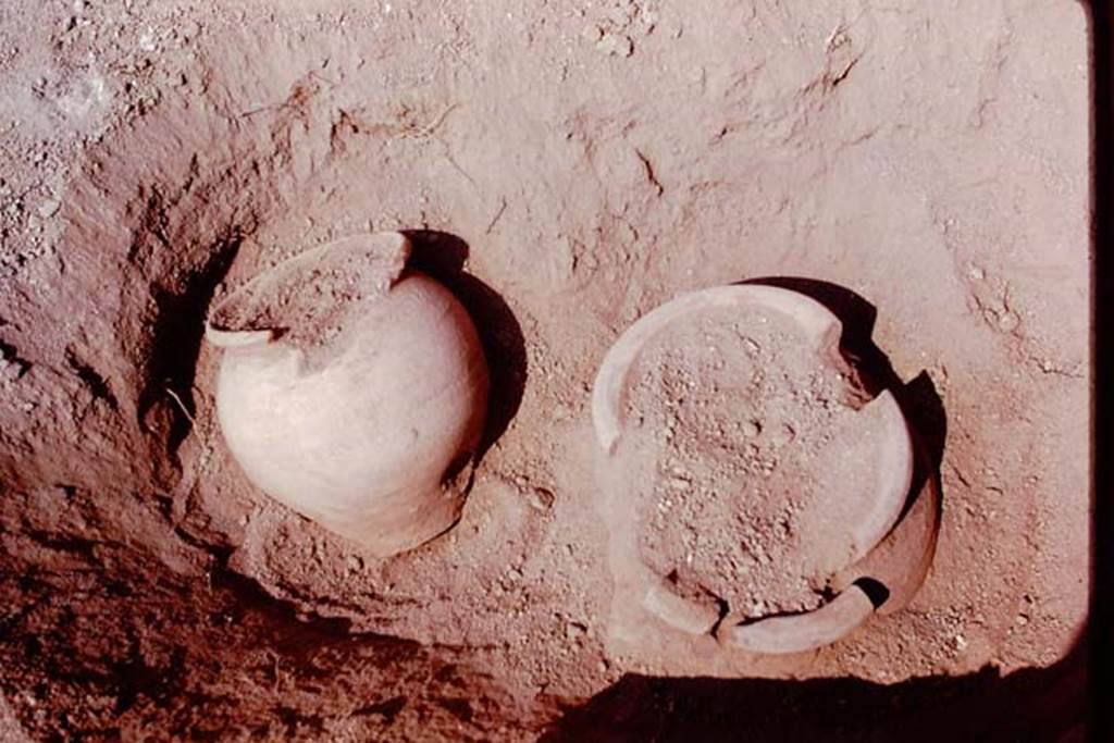 Oplontis, 1978. Detail of two buried pots, one upright, the other planted slanting towards a column of the portico. Photo by Stanley A. Jashemski.
Source: The Wilhelmina and Stanley A. Jashemski archive in the University of Maryland Library, Special Collections (See collection page) and made available under the Creative Commons Attribution-Non Commercial License v.4. See Licence and use details. J78f0656