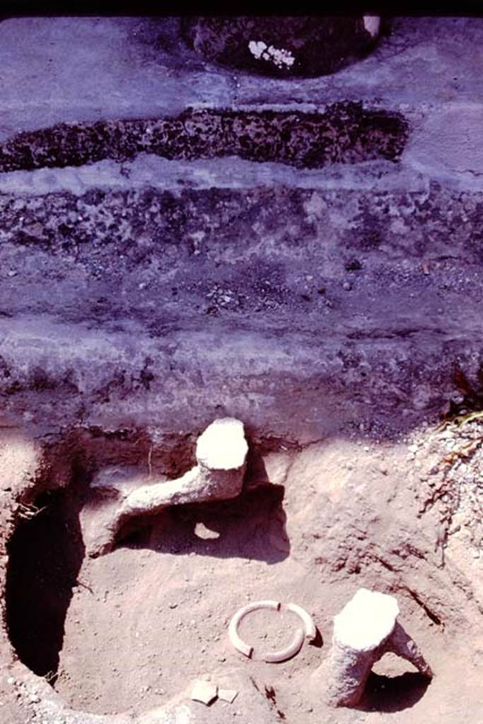 Oplontis, 1978. Filled root cavities and a buried pot. Photo by Stanley A. Jashemski.
Source: The Wilhelmina and Stanley A. Jashemski archive in the University of Maryland Library, Special Collections (See collection page) and made available under the Creative Commons Attribution-Non Commercial License v.4. See Licence and use details. J78f0660