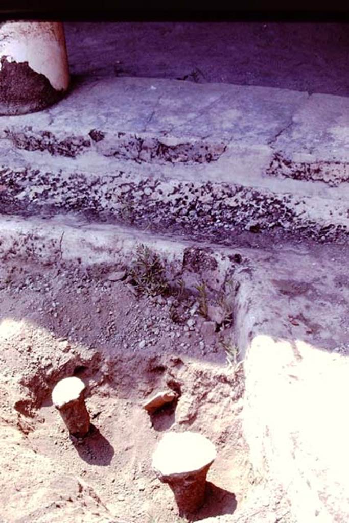 Oplontis, 1978. Filled root cavities at corner of portico. Photo by Stanley A. Jashemski.
Source: The Wilhelmina and Stanley A. Jashemski archive in the University of Maryland Library, Special Collections (See collection page) and made available under the Creative Commons Attribution-Non Commercial License v.4. See Licence and use details. J78f0666