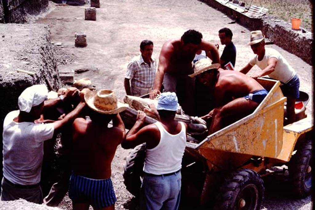 Oplontis Villa of Poppea, July 1983. Statue being taken away for safekeeping. 
Source: The Wilhelmina and Stanley A. Jashemski archive in the University of Maryland Library, Special Collections (See collection page) and made available under the Creative Commons Attribution-Non Commercial License v.4. See Licence and use details. Oplo0234
