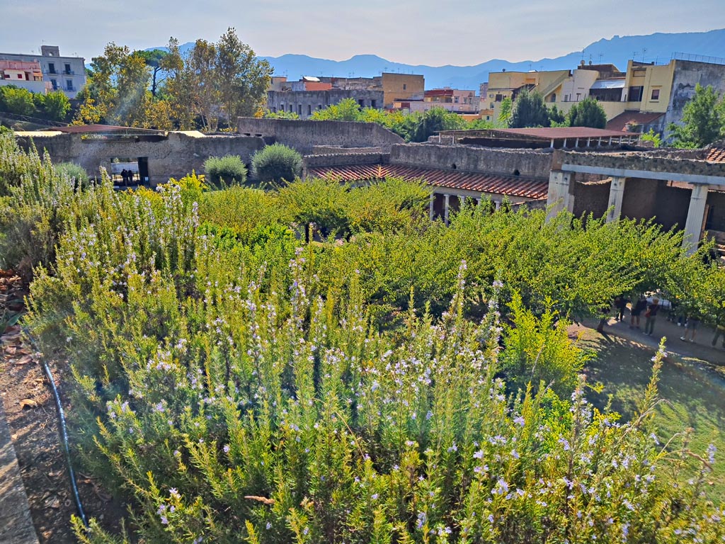 Oplontis Villa of Poppea, October 2023. Looking south-east across the north garden 56. Photo courtesy of Giuseppe Ciaramella.