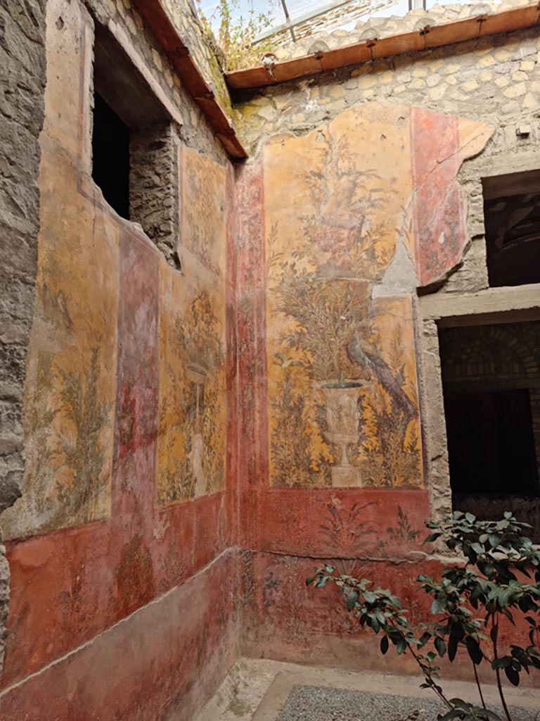 Oplontis Villa of Poppea, January 2023. Room 70, north-west corner. Photo courtesy of Miriam Colomer.