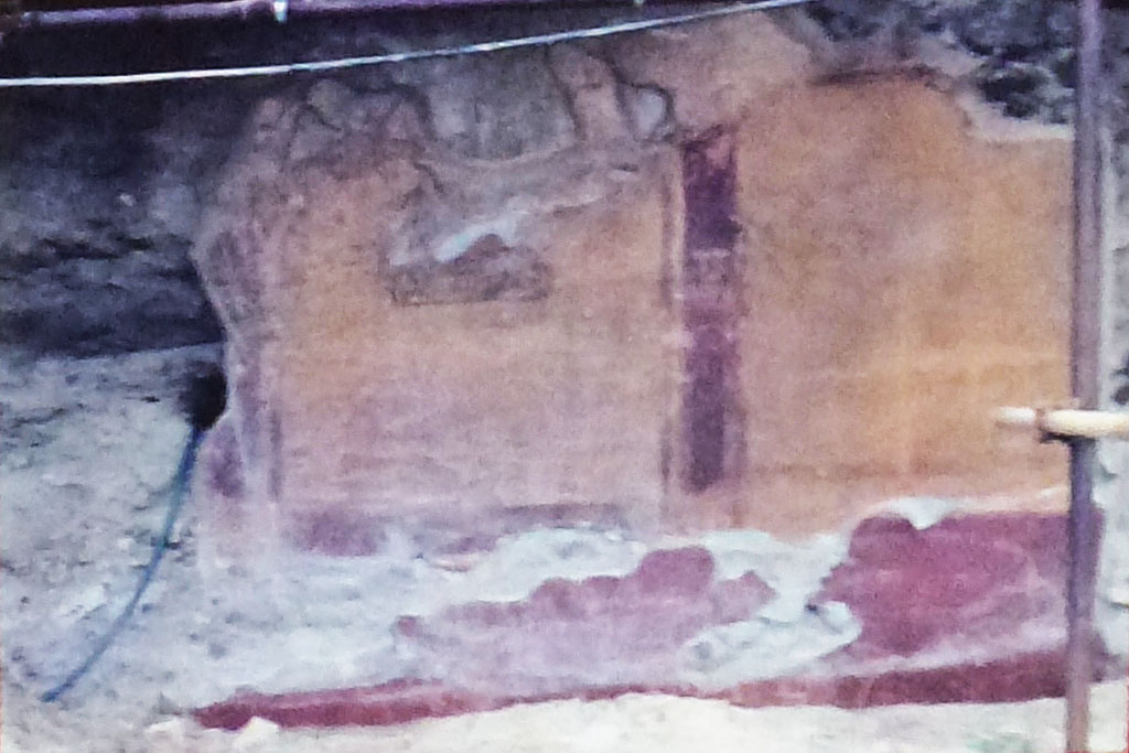 Villa of L Crassius Tertius. C.1984? Fourth style painted wall from Patron’s quarters. Room above room 10.
Photo courtesy of Michael Binns. 
Our thanks to John R. Clarke and his team for identifying the location [email 1/6/2023] “We’ve come to the conclusion that it came from the room above 10 (where the skeletons were found), which the diario di scavo named 35. In the process of detachment, the conservators lost the black socle. (By the way, study of the fragment, now lying face-up in room 31, revealed two graffiti: one of a boat and the other perhaps of a standing man.)”  
According to the Soprintendenza,
il piano superiore, nel versante sud, è occupato da un quartiere signorile, forse la residenza del dominus, nel quale alcuni ambienti sono decorati con pitture in IV stile, ma tra i quali vi è un raro esemplare di II stile cosiddetto "schematizzato", risalente all'età repubblicana.
The upper floor, in the south, is occupied by an exclusive area, perhaps the residence of the patron, where some rooms are decorated with paintings in the Fourth Style, but among them there is a rare example of a second style "schematic" painting technique dating back to the Republican era.
See Villa on the Soprintendenza web site

