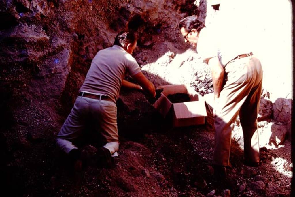 Oplontis, Villa of Lucius Crassius Tertius. 1978. Excavating burnt material.
Photo by Stanley A. Jashemski.
Source: The Wilhelmina and Stanley A. Jashemski archive in the University of Maryland Library, Special Collections (See collection page) and made available under the Creative Commons Attribution-Non Commercial
J78f0609