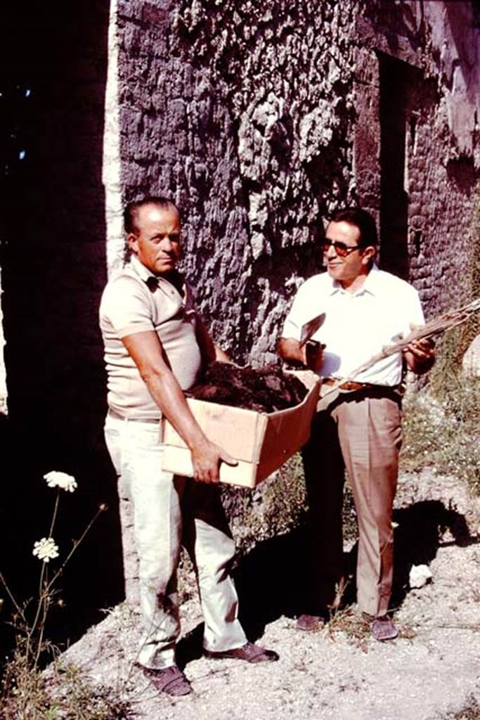 Oplontis, Villa of Lucius Crassius Tertius. 1978. Area 20, south side of peristyle, outside room 12. Holding finds.
According to the Soprintendenza, lungo i bracci di tale peristilio, completamente ricostruito, ricollocando in loco gli originari rocchi delle colonne e i relativi capitelli, vi è una serie di stanze, molto probabilmente magazzini, almeno a giudicare da quanto in essi rinvenuto (pesi, suppellettili, ceramica da trasporto, paglia carbonizzata, una grande quantità di piccoli e acerbi melograni, utilizzati forse per la concia delle pelli).
Along the arms of the peristyle, completely rebuilt on site by relocating the original columns and their capitals, there is a series of rooms, probably warehouses, at least judging from what was found in them (weights, furnishings, ceramics, charred straw, a large amount of small and unripe pomegranates, perhaps used for tanning leather).
See Villa on the Soprintendenza web site
Photo by Stanley A. Jashemski.
Source: The Wilhelmina and Stanley A. Jashemski archive in the University of Maryland Library, Special Collections (See collection page) and made available under the Creative Commons Attribution-Non Commercial License v.4. See Licence and use details.
J78f0614