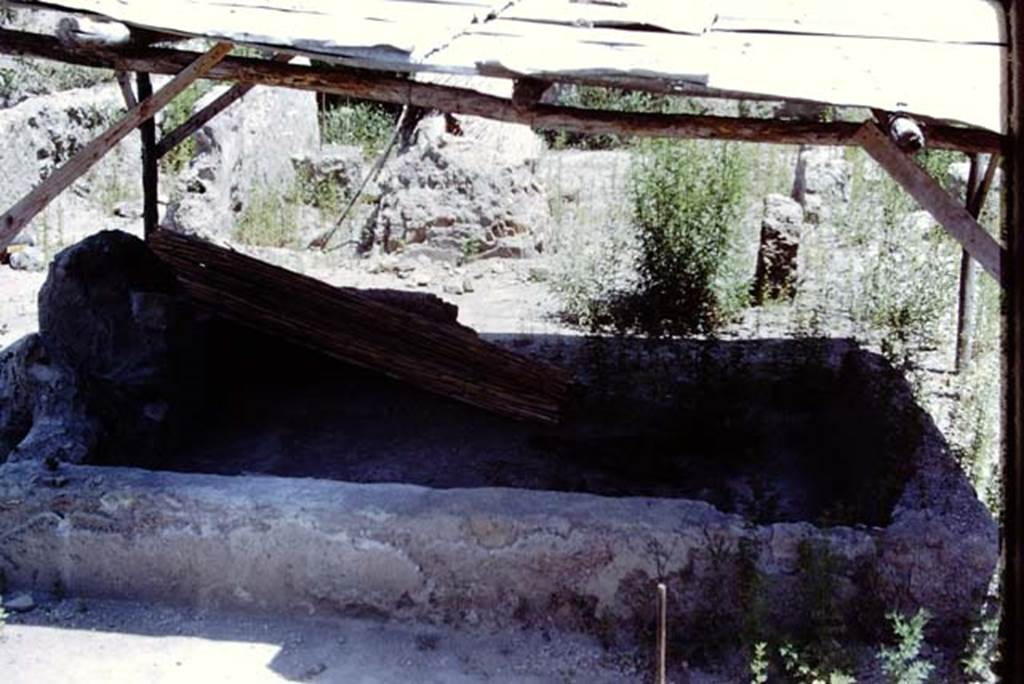Oplontis, Villa of Lucius Crassius Tertius. 1975. Photo by Stanley A. Jashemski.
Source: The Wilhelmina and Stanley A. Jashemski archive in the University of Maryland Library, Special Collections (See collection page) and made available under the Creative Commons Attribution-Non Commercial License v.4. See Licence and use details.
J75f0421