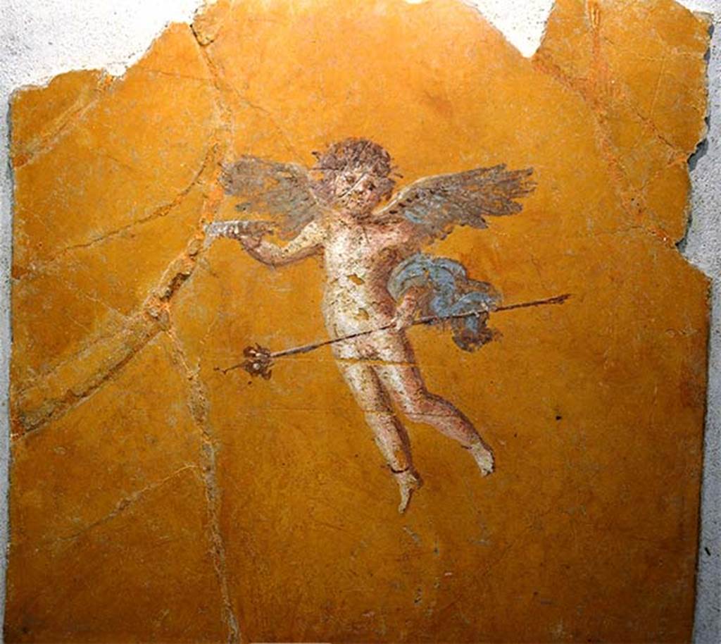 Gragnano, Villa rustica in Località Carmiano, Villa A. Room 9.
Detail of flying cupid, holding thyrsus and patera.